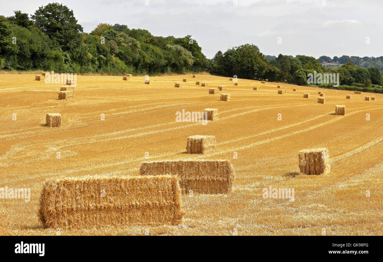 English Rural Landscape in the Chiltern Hills with Bales of hay Stock Photo