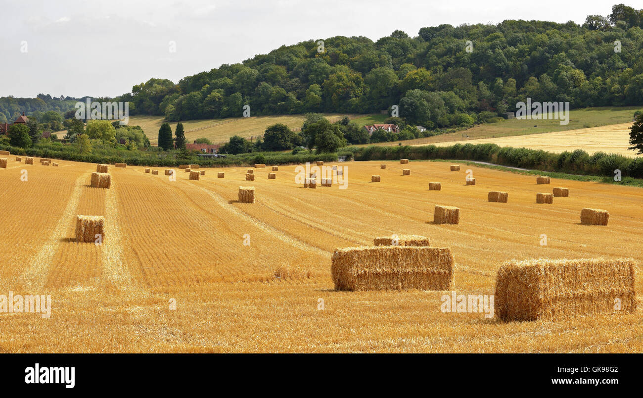 English Rural Landscape in the Chiltern Hills with Bales of hay Stock Photo