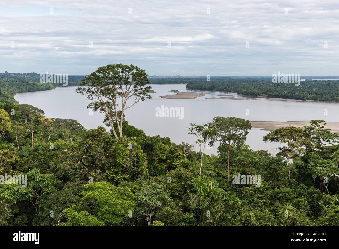 Rio Napo runs through green rain forest in the Amazons. Yasuni National Park, Ecuador, South America. Stock Photo