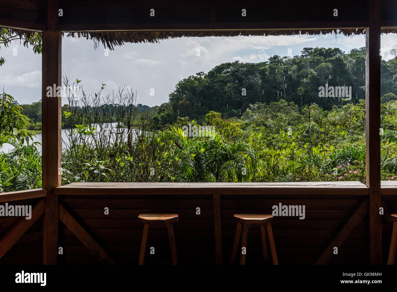 View of Amazon jungle from pavilion of the Sani Lodge. Yasuni National Park, Ecuador, South America. Stock Photo
