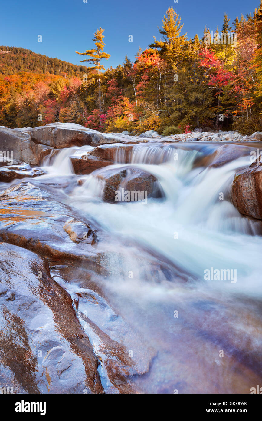 Multi-coloured fall foliage along the Swift River Lower Falls, White Mountain National Forest in New Hampshire, USA. Stock Photo