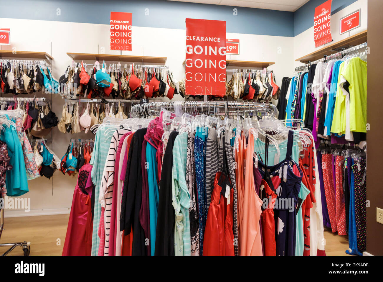 lane bryant women's store