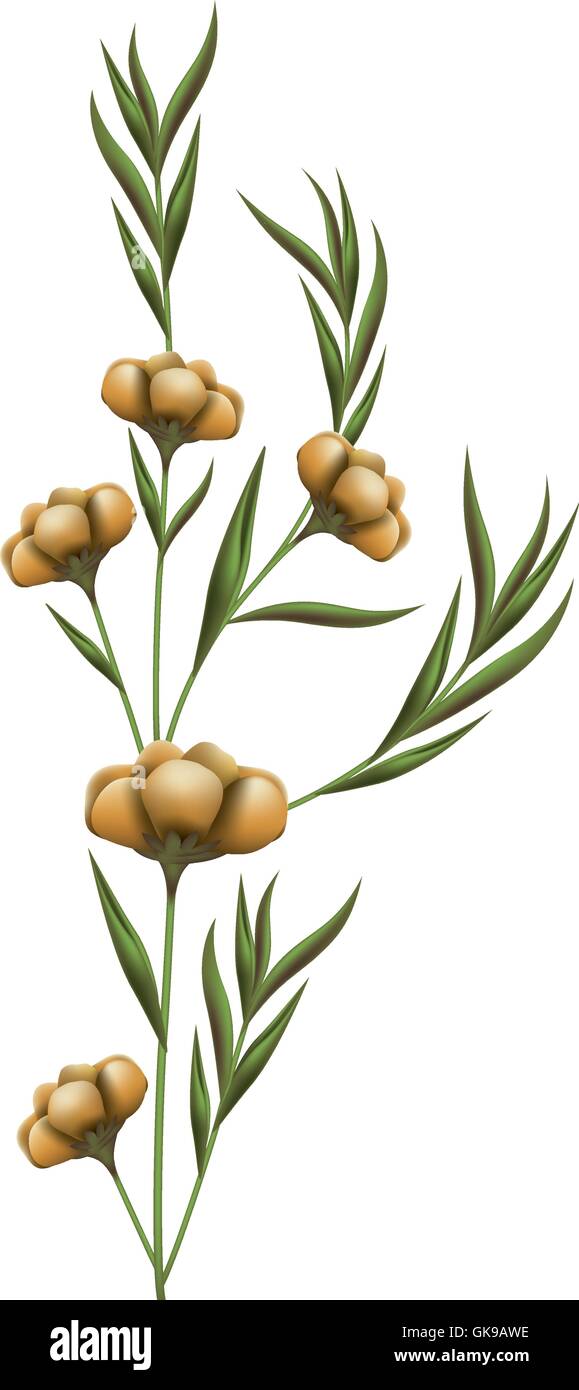 beautiful flower isolated icon Stock Vector Image & Art - Alamy