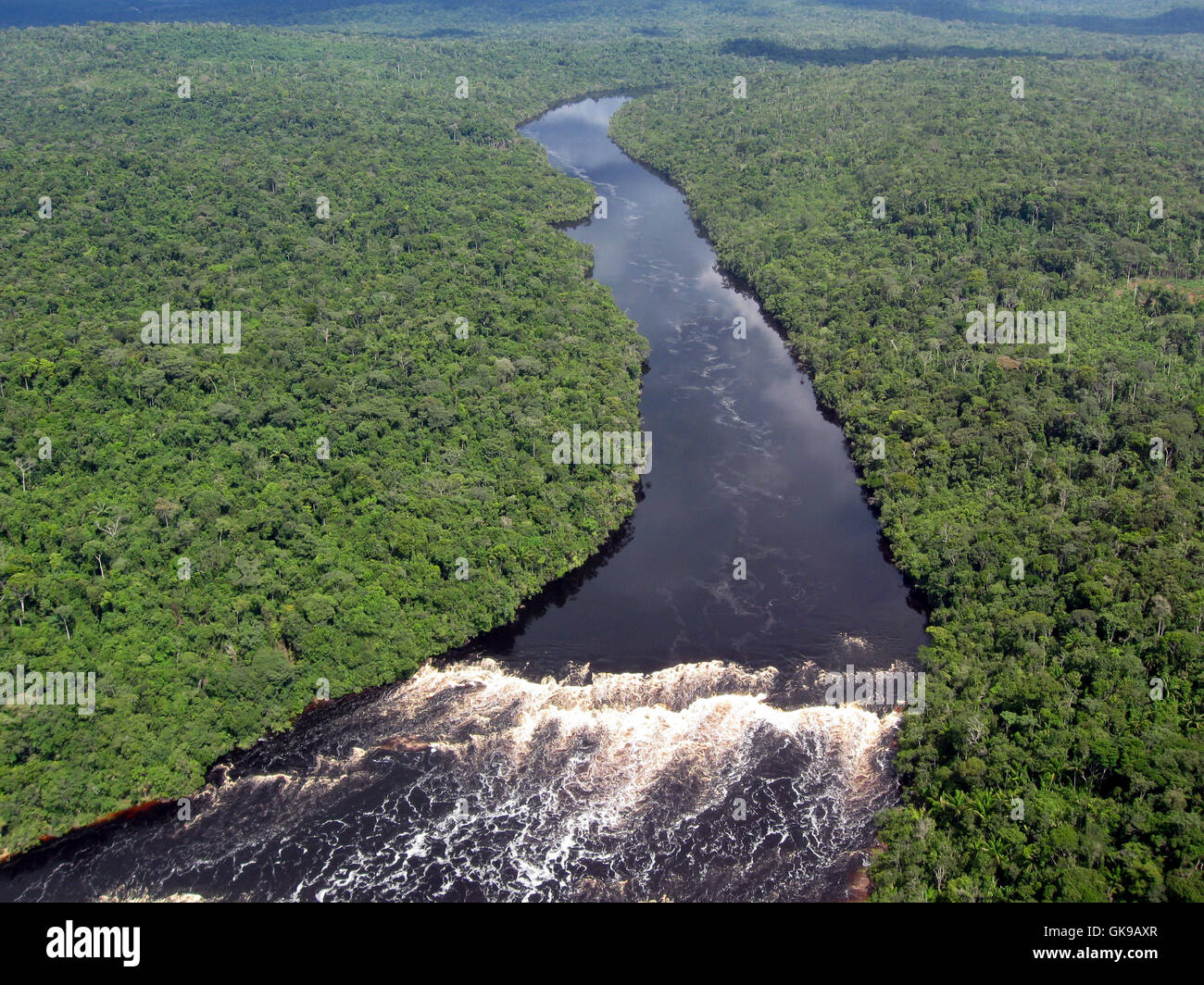 tropical amazon river Stock Photo