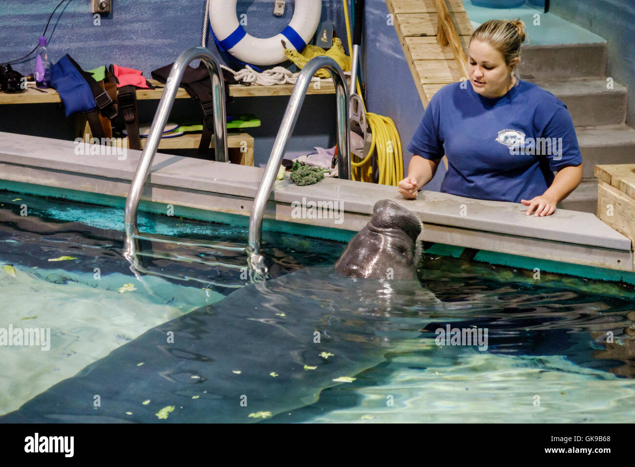 Florida,South,Gulf Coast,Bradenton,South Florida Museum,Parker Manatee Aquarium,natural history