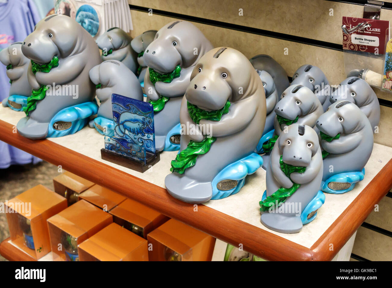 Florida Gulf Coast,Bradenton,South Florida Museum,gift shopper shoppers shop