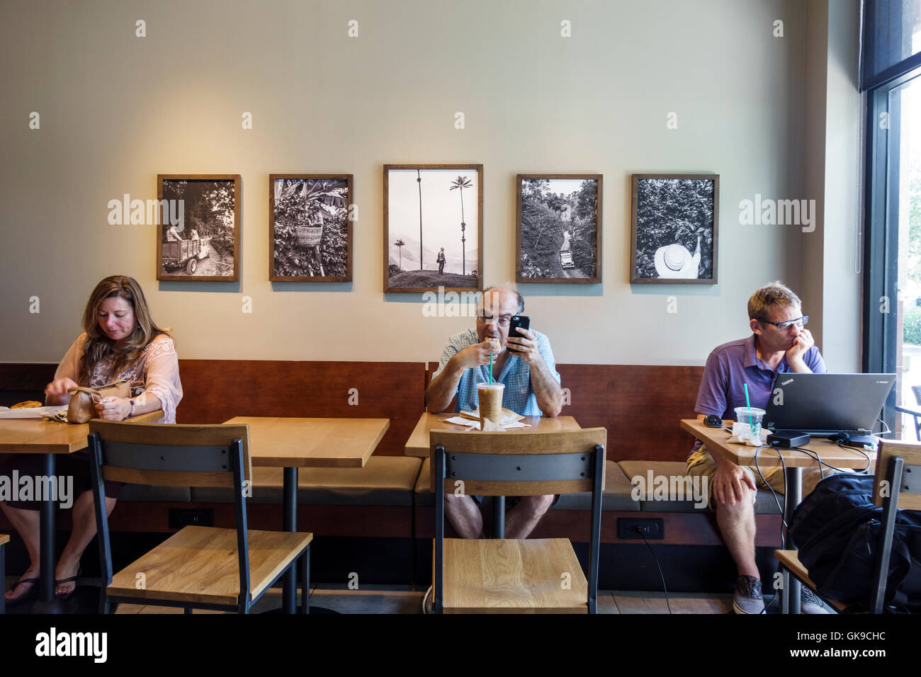 Bradenton Florida,Starbucks Coffee,coffeehouse,chain,adult adults,woman