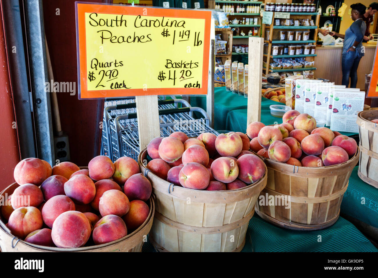 Florida,South,Sarasota,Pinecraft Pine Craft,Amish neighborhood,Bahia