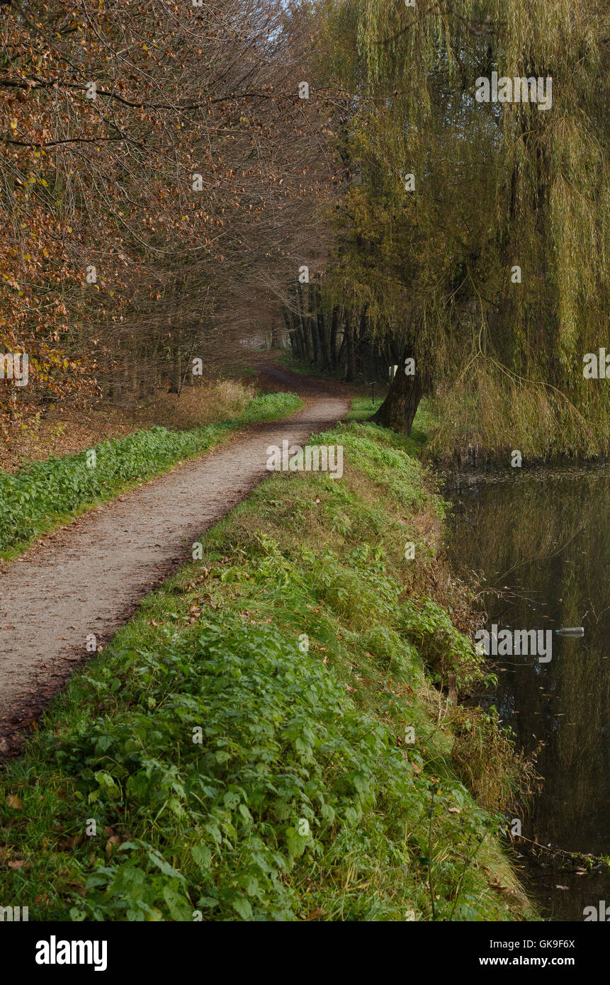 tree fresh water lake Stock Photo