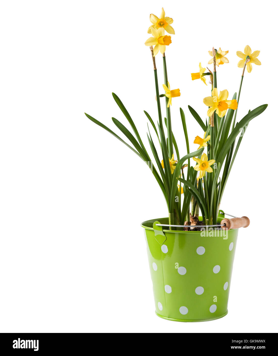 garden ground soil Stock Photo Alamy