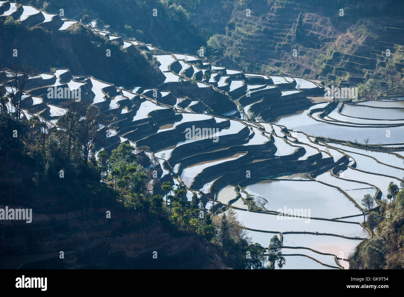 China Yunnan Wan Feng Lin Titian Stock Photo Alamy