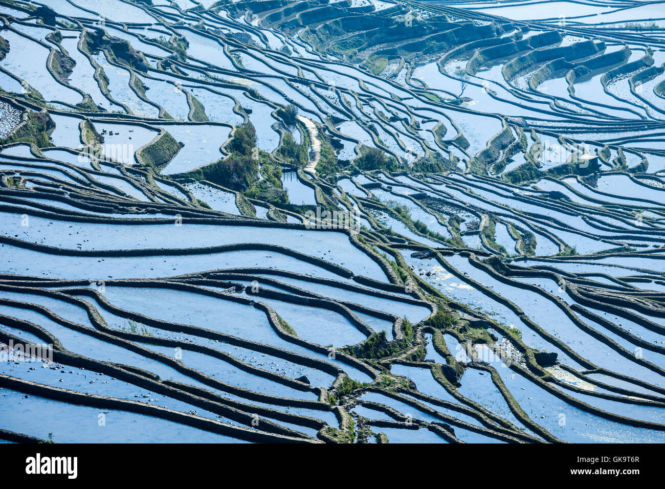 China Yunnan Wan Feng Lin Titian Stock Photo Alamy