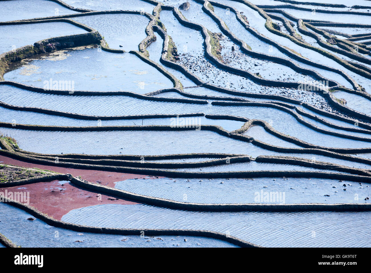 China Yunnan Wan Feng Lin Titian Stock Photo Alamy