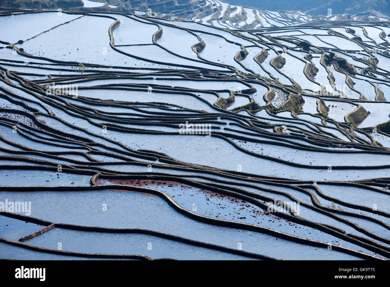 China Yunnan Wan Feng Lin Titian Stock Photo Alamy