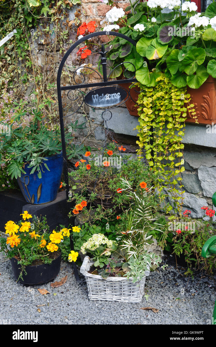 Design small front house garden hi-res stock photography and images - Alamy
