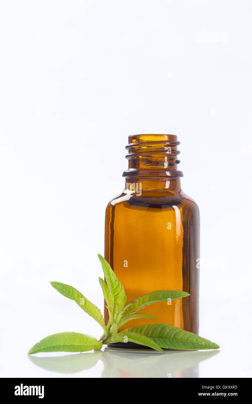 lemon vervain , verbena essential oil naturopathy Stock Photo Alamy