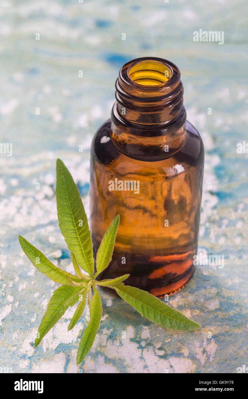 lemon vervain , verbena essential oil naturopathy Stock Photo Alamy