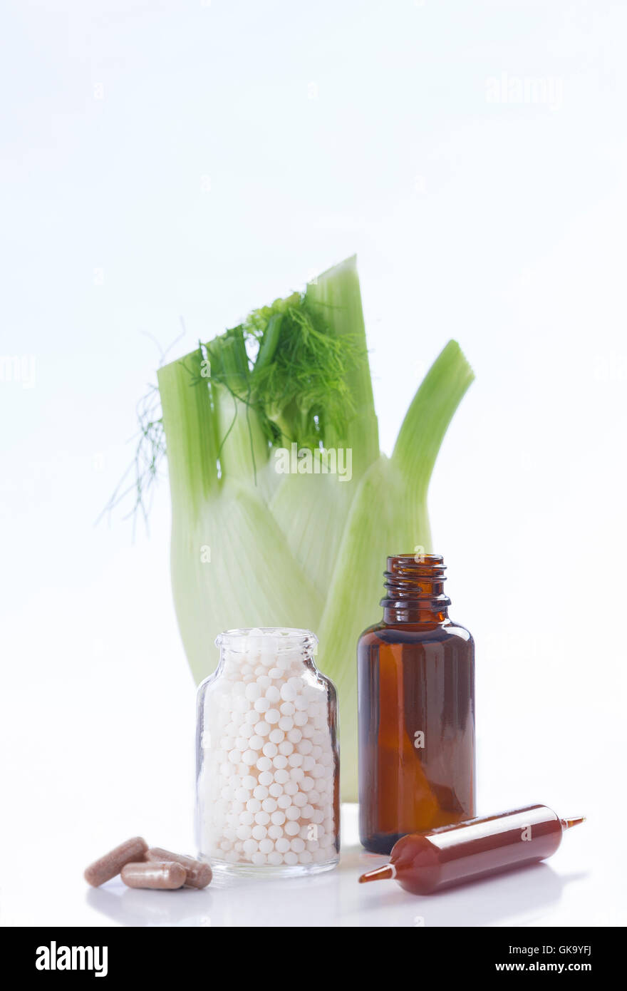 fennel plant healing herbal medicine Stock Photo