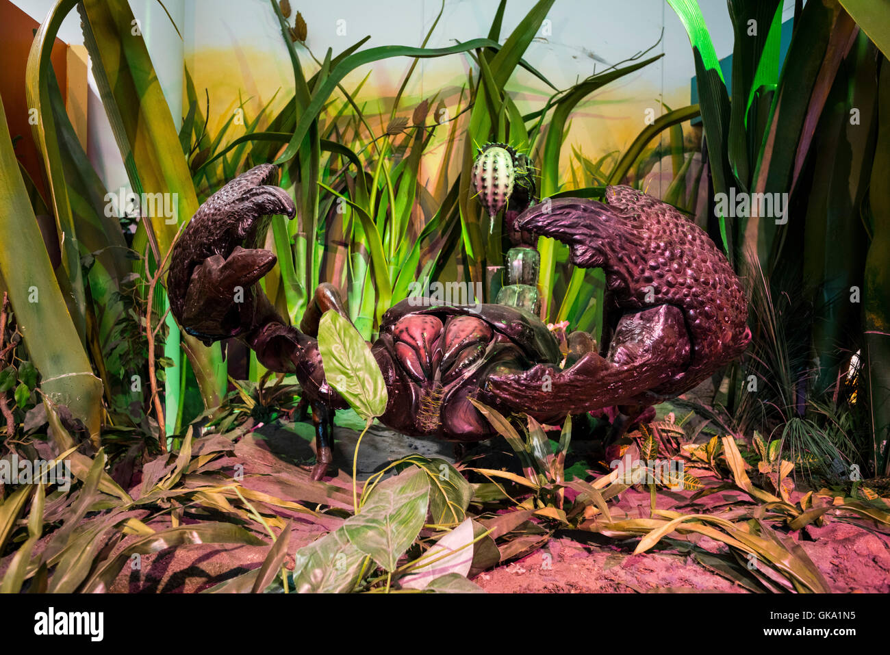 Scorpion Pacific Science Center Seattle Stock Photo Alamy scorpion-pacific-science-center-seattle-stock-photo-alamy