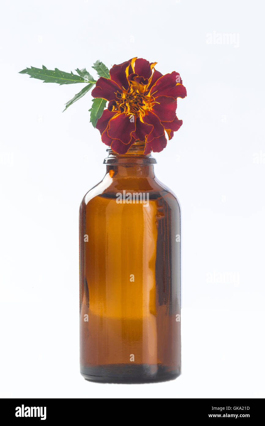 Small bottle of essential marigold oil Stock Photo Alamy
