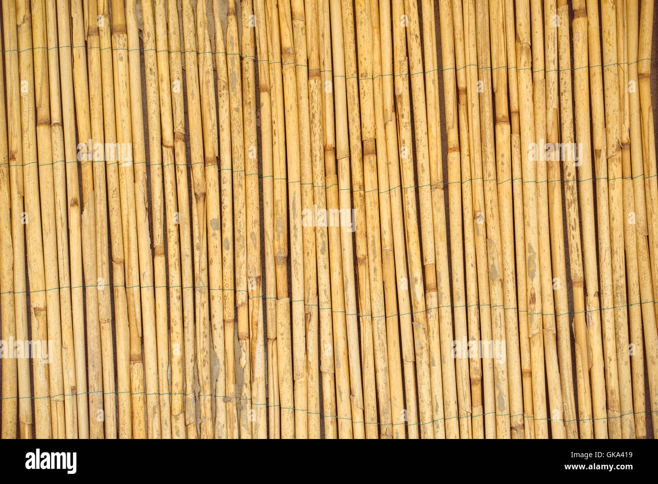 Dry reed straws fence as texture or background, natural material backdrop surface Stock Photo