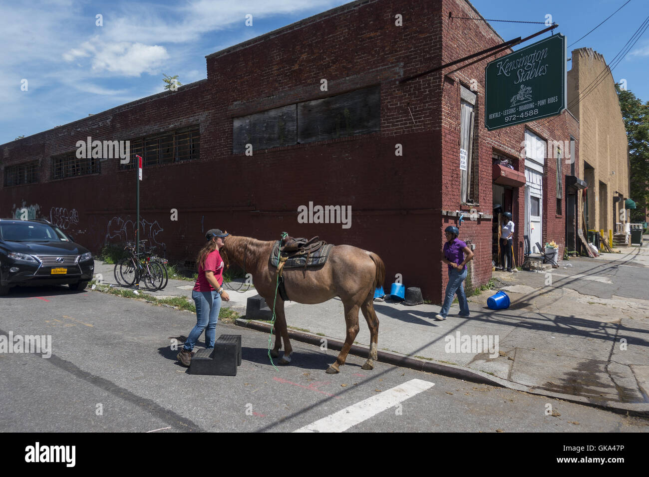 Kensington Stables in the Windsor Terrace neighborhood near Prospect