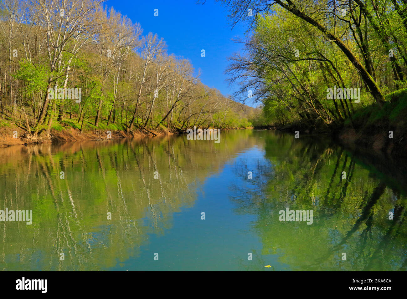 On Green River Ferry, Mammoth Cave National Park, Park City, Kentucky