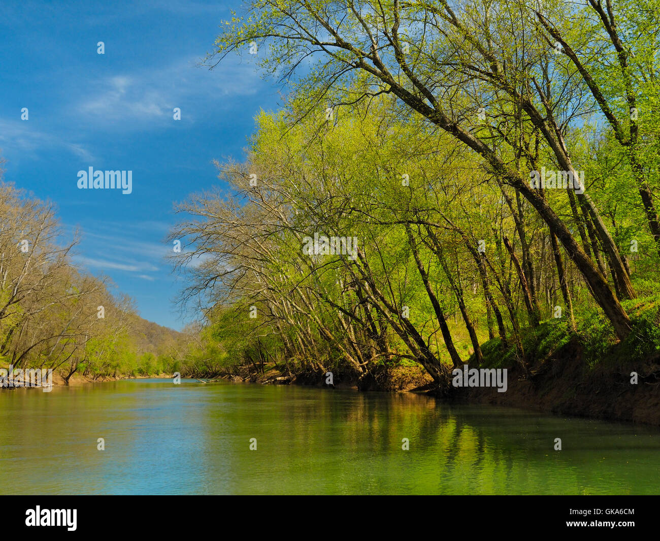 On Green River Ferry, Mammoth Cave National Park, Park City, Kentucky
