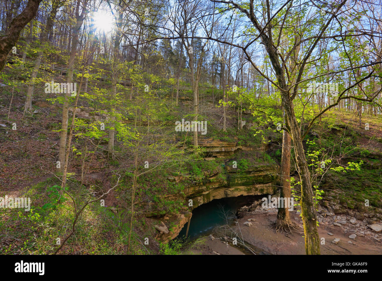 River Styx Spring, River Styx Spring Trail, Mammoth Cave National Park, Park City, Kentucky, USA Stock Photo