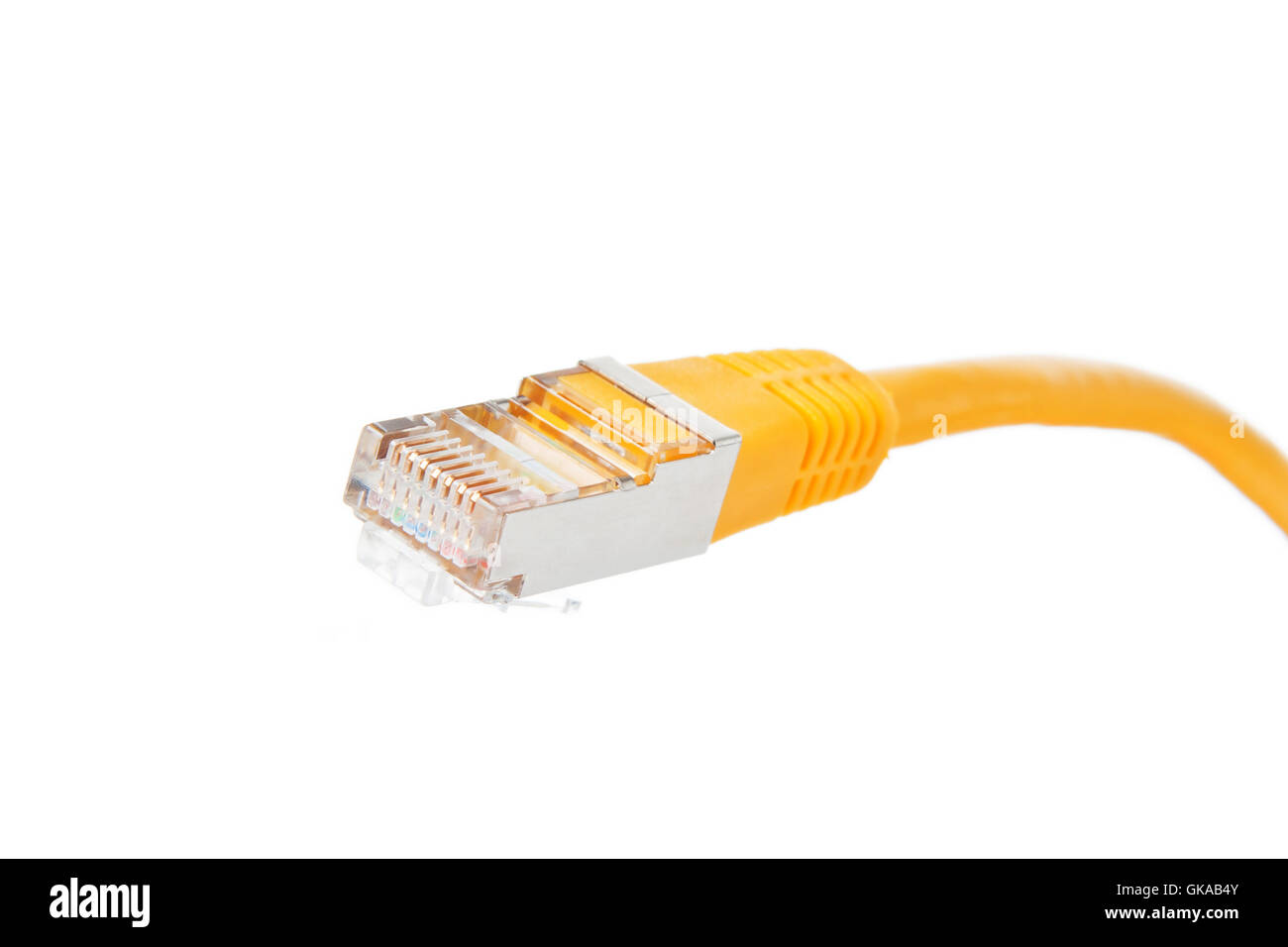 network cable with plug Stock Photo Alamy