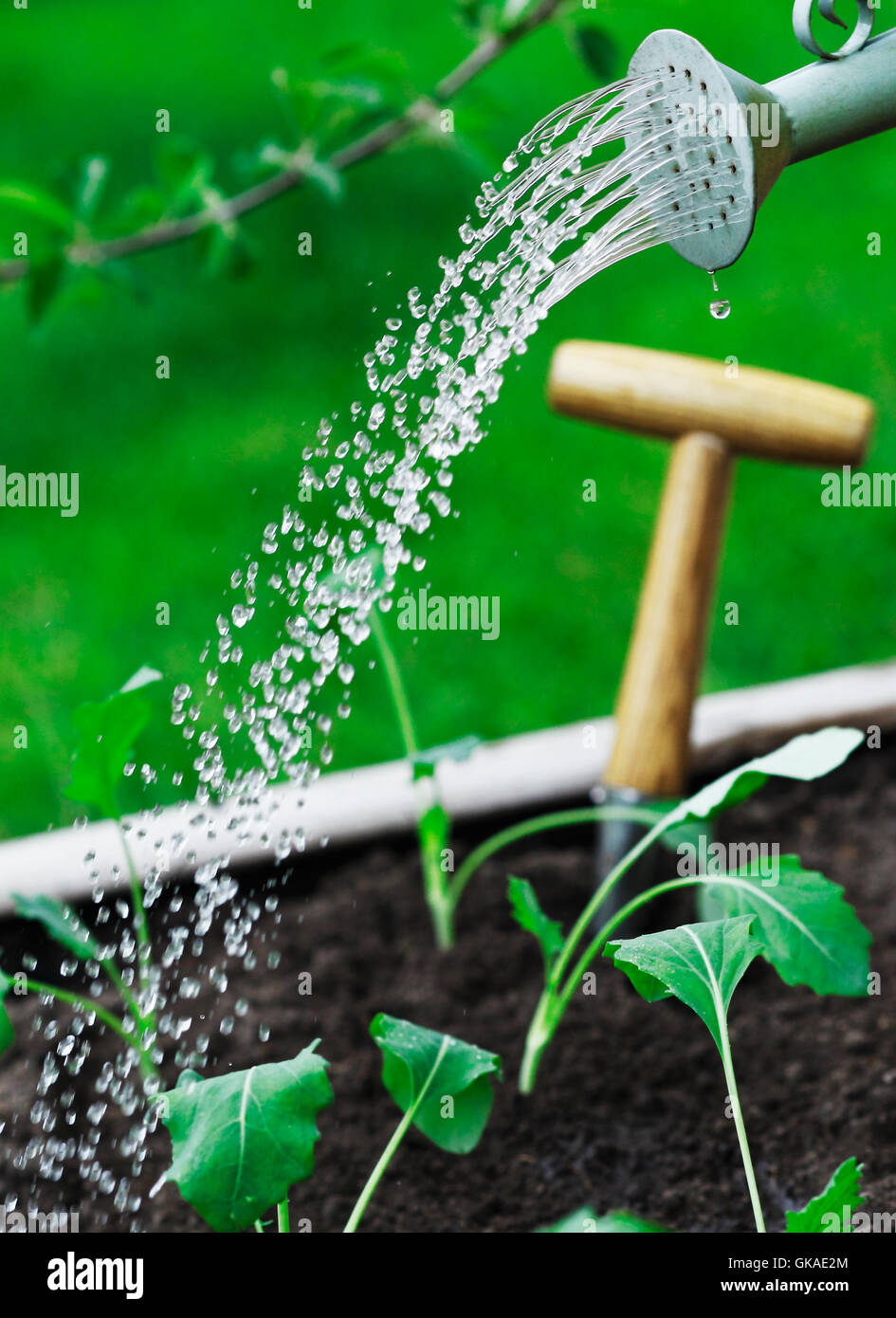 tool garden ground Stock Photo Alamy