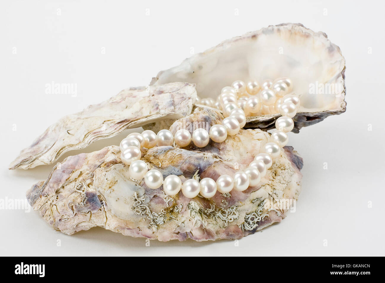 Pearl shells hi-res stock photography and images - Alamy
