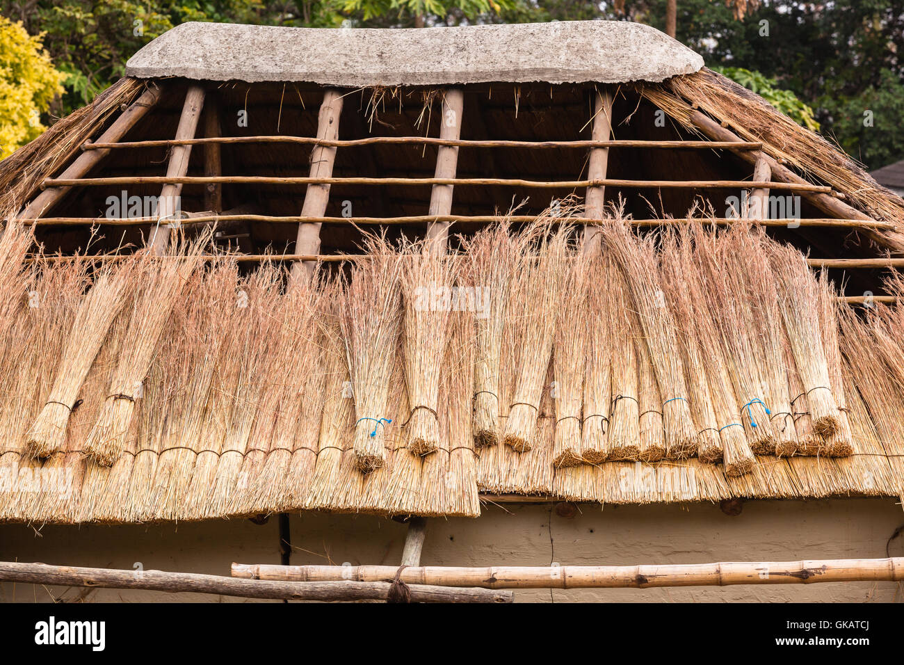 Roof grass thatching construction on wood pole cabin structure. Stock Photo