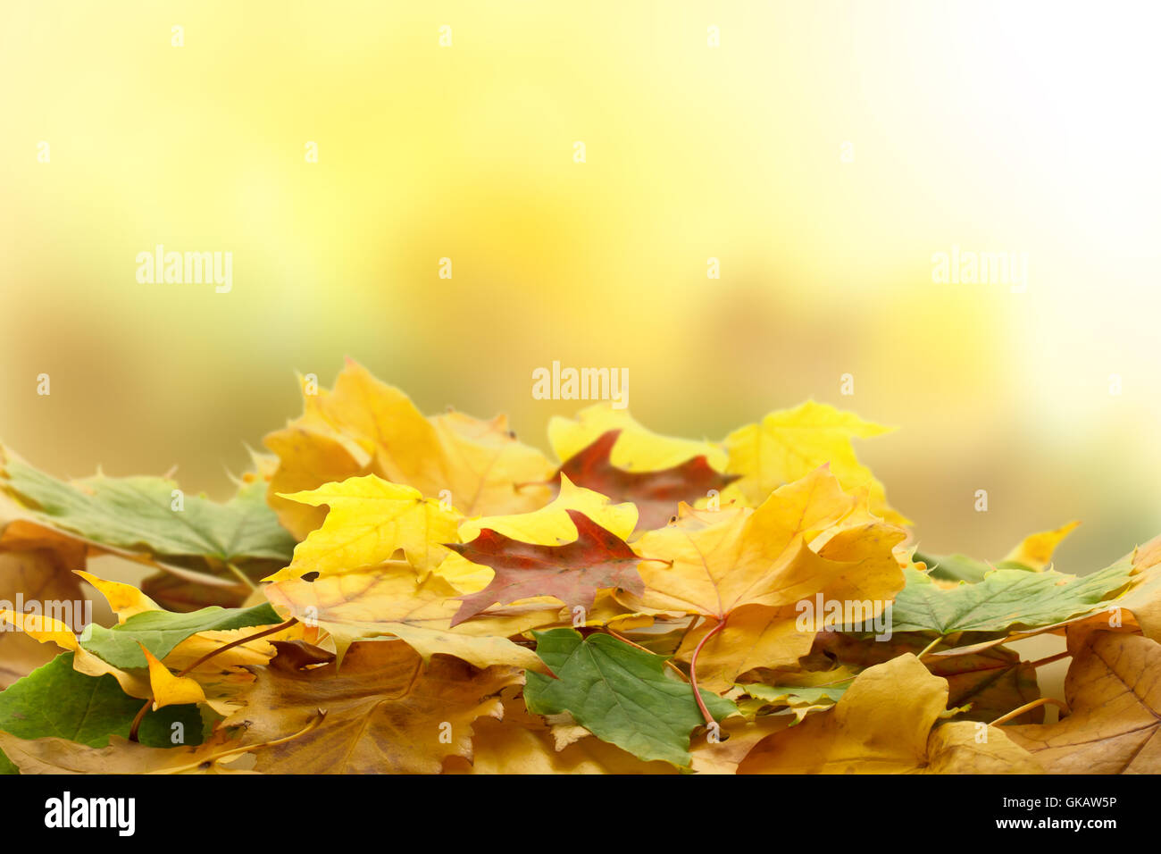 Leaf piles hires stock photography and images Alamy