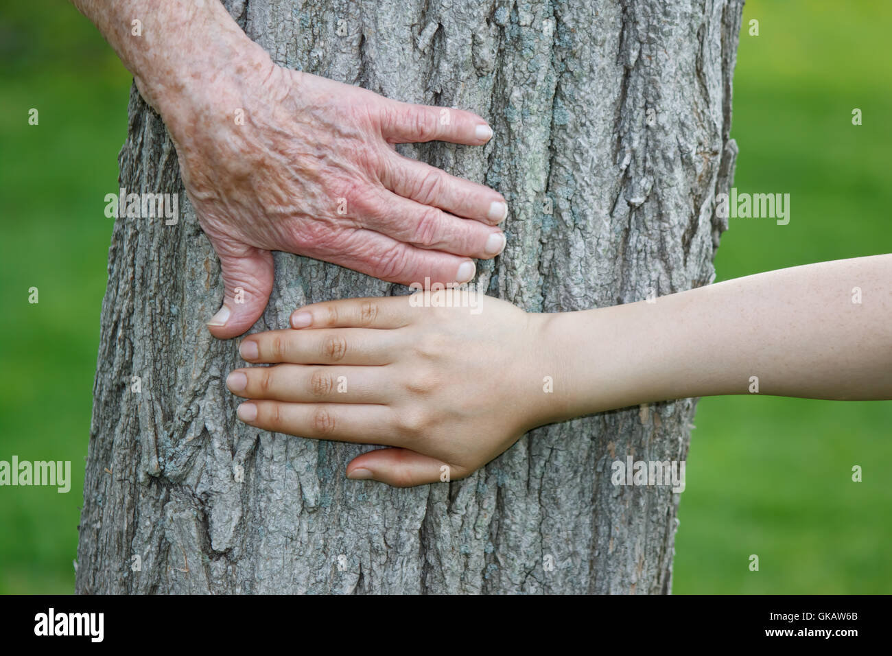 Elderly younger woman hand hi-res stock photography and images - Alamy