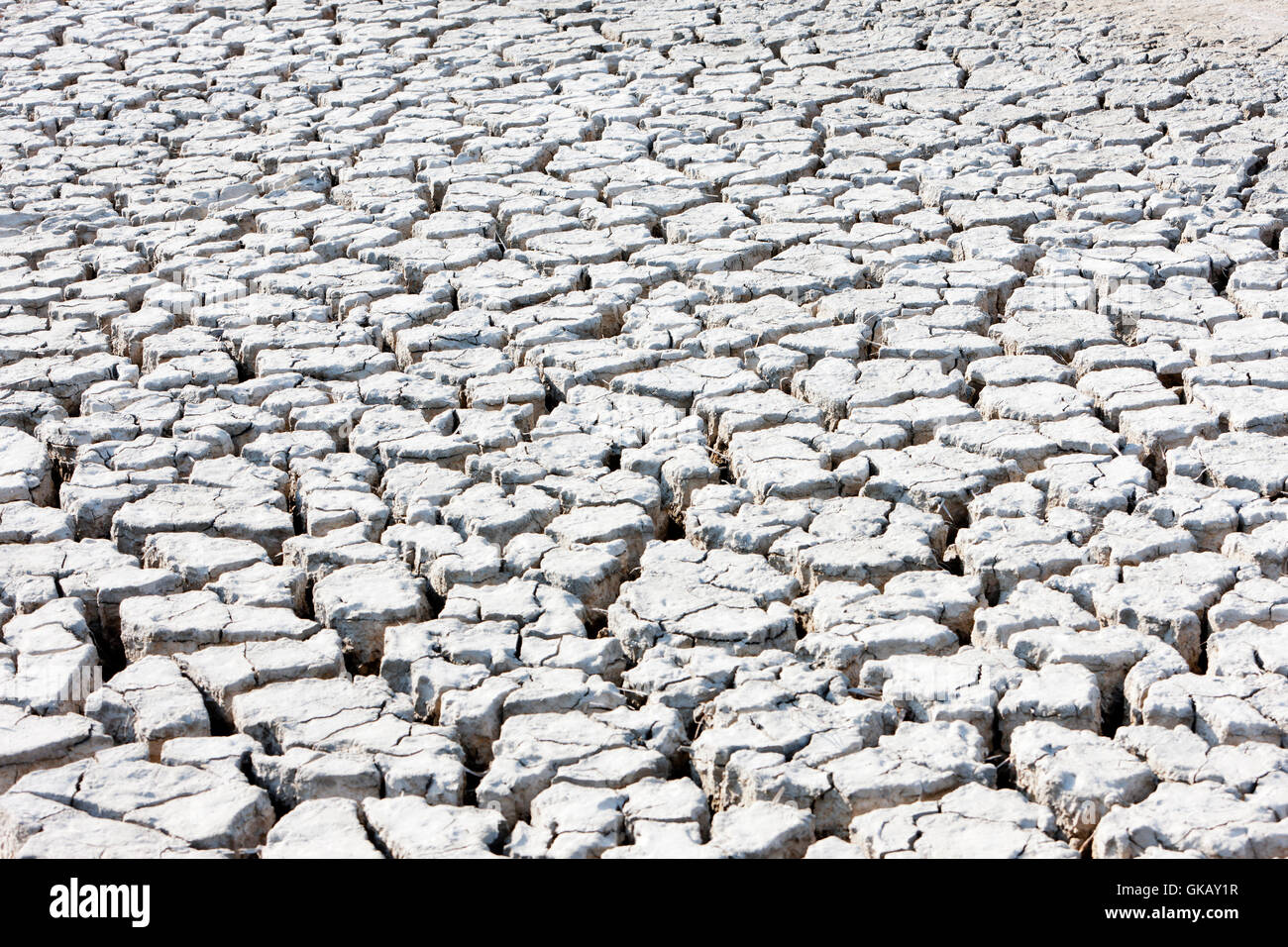 dry dried up barren Stock Photo