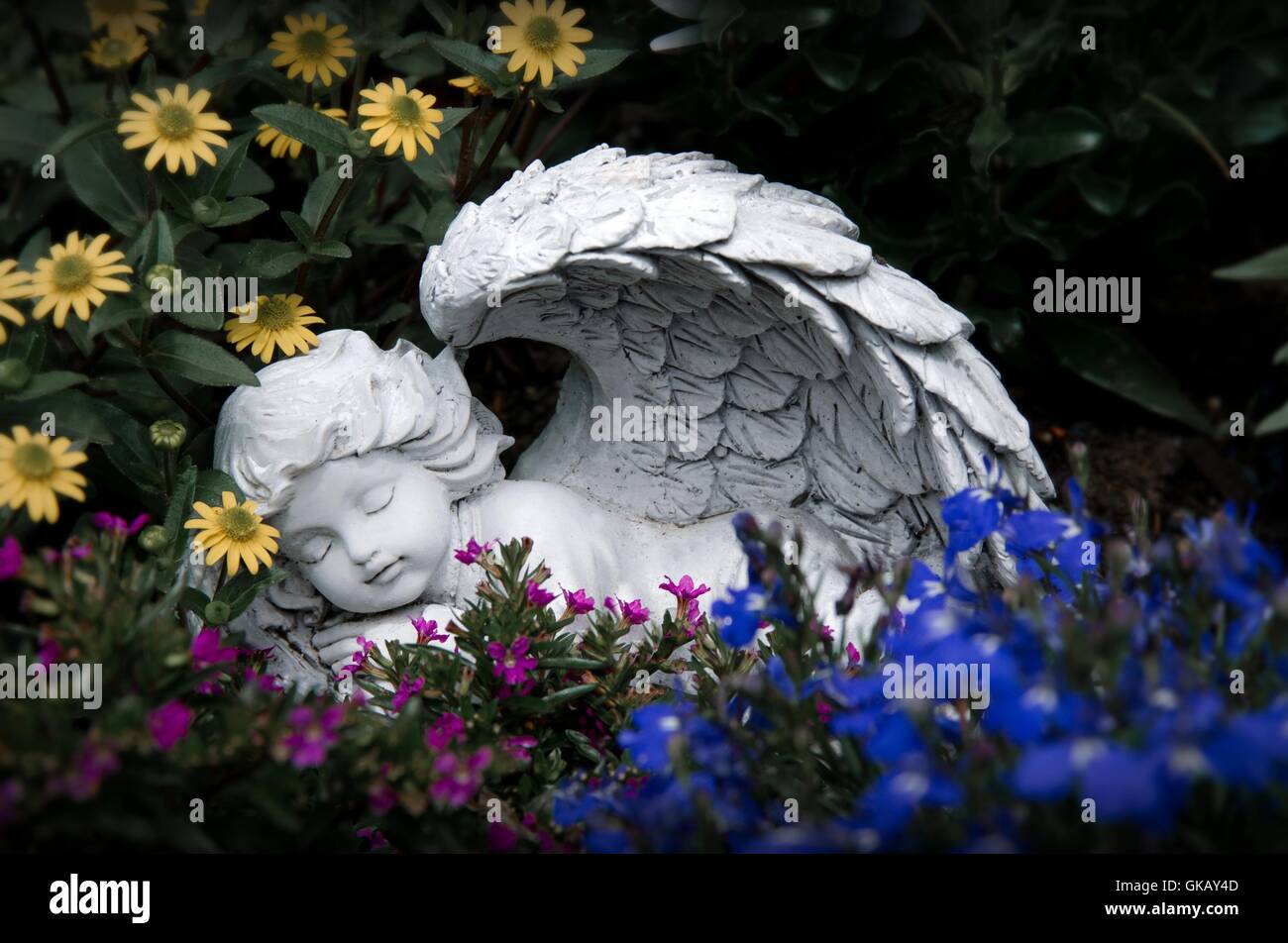 sleeping angel Stock Photo