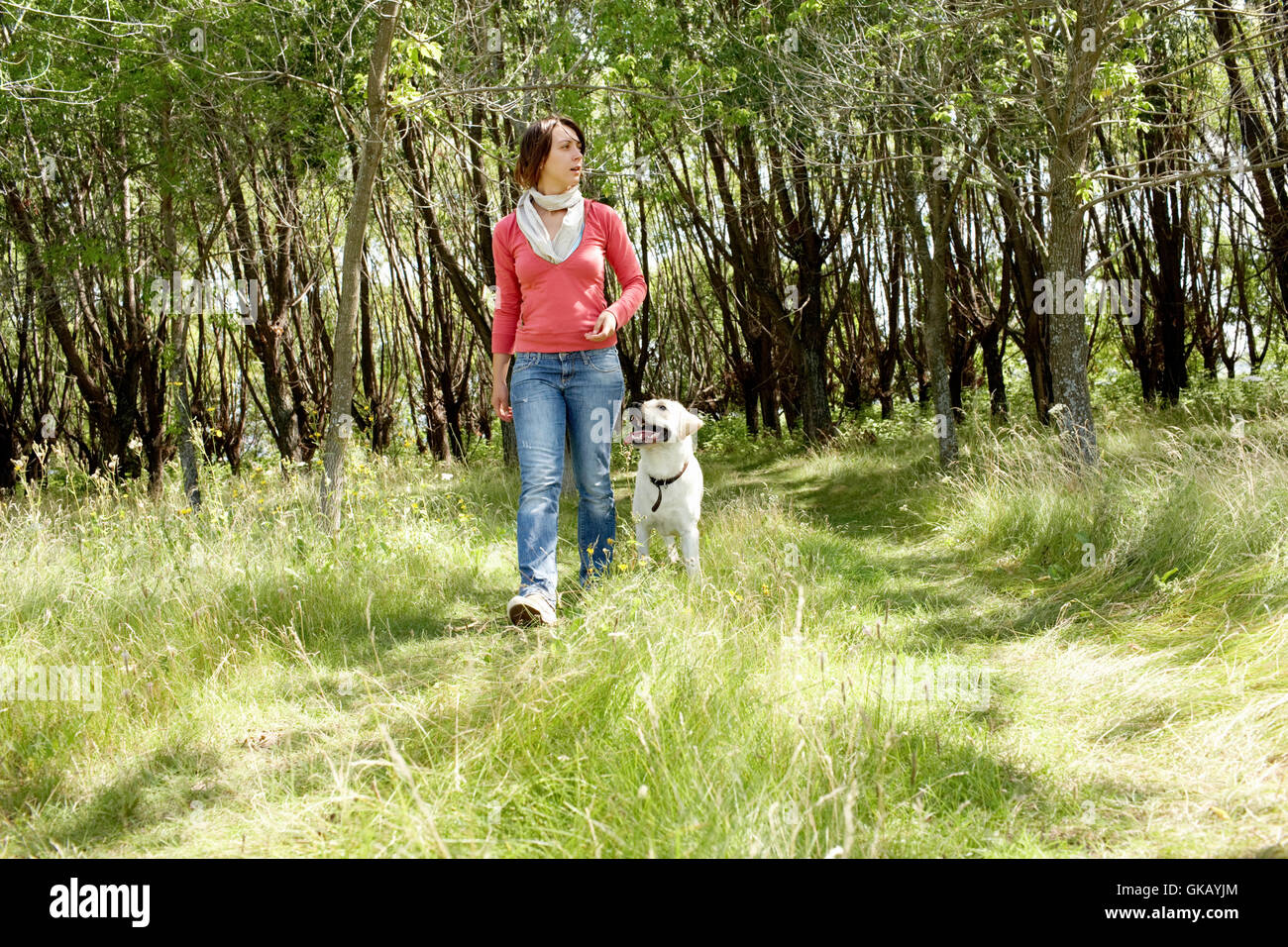 Teen girl walking dog hi-res stock photography and images - Alamy