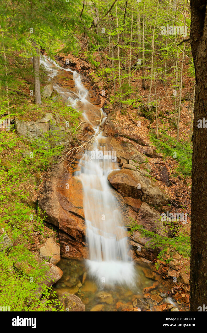 Liberty Gorge Cascade, Franconia Notch State Park, Franconia Notch, New ...