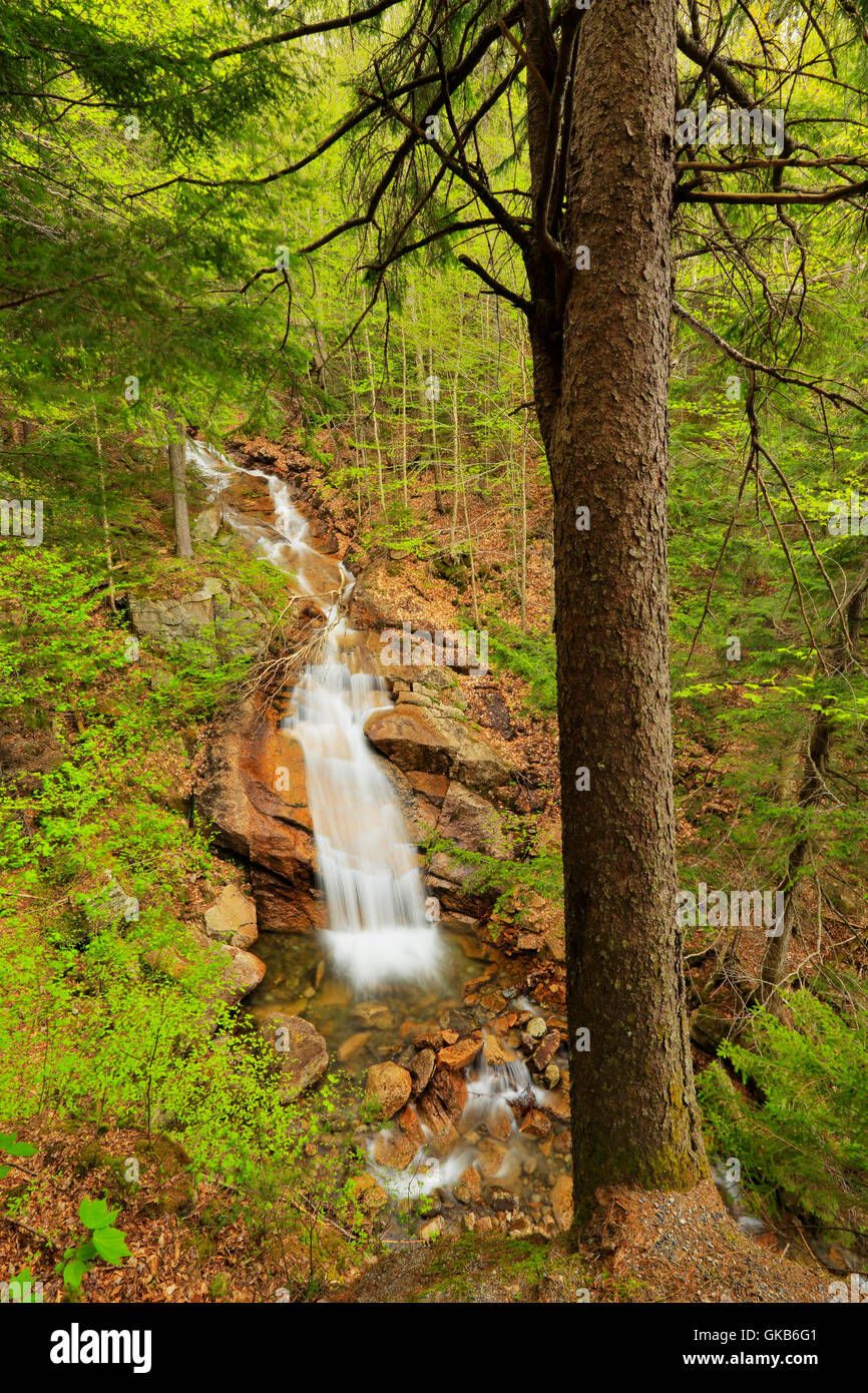 Liberty gorge cascade hi-res stock photography and images - Alamy