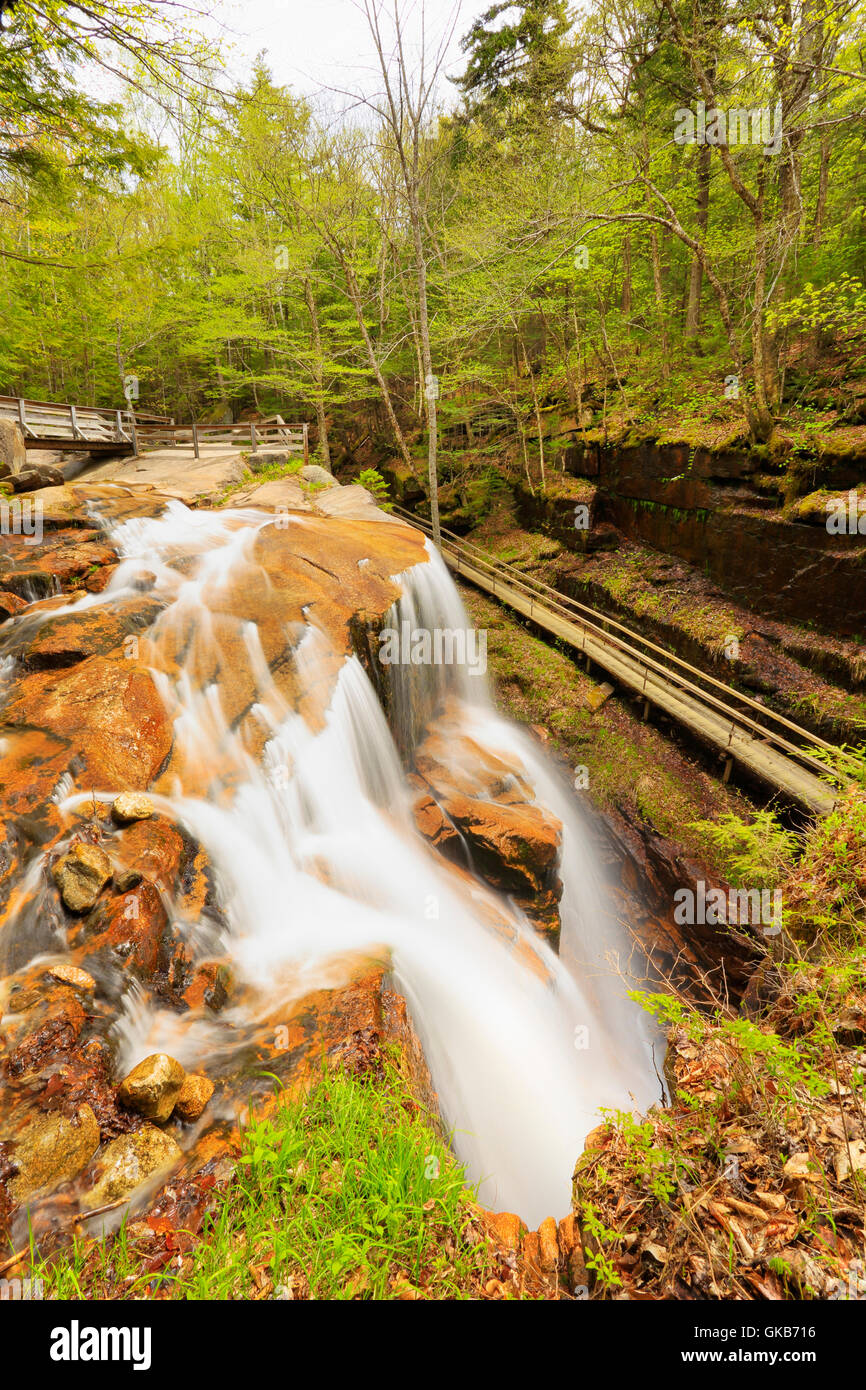 The at the Flume, Franconia Notch State Park, Franconia Notch