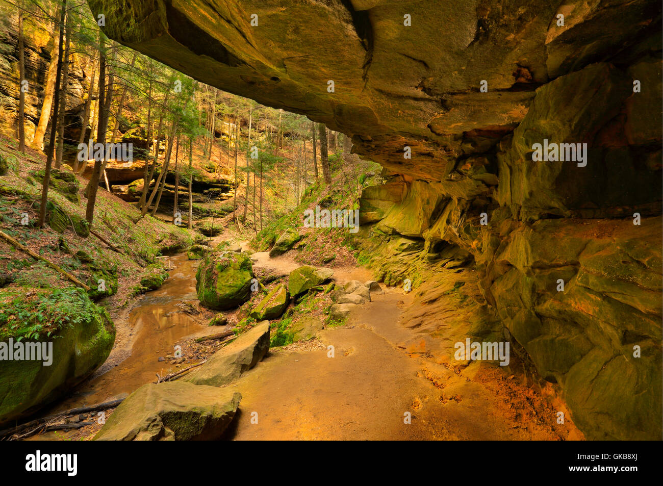 Conkles Hollow Trail, Hocking Hills State Park, Logan, Ohio, USA Stock