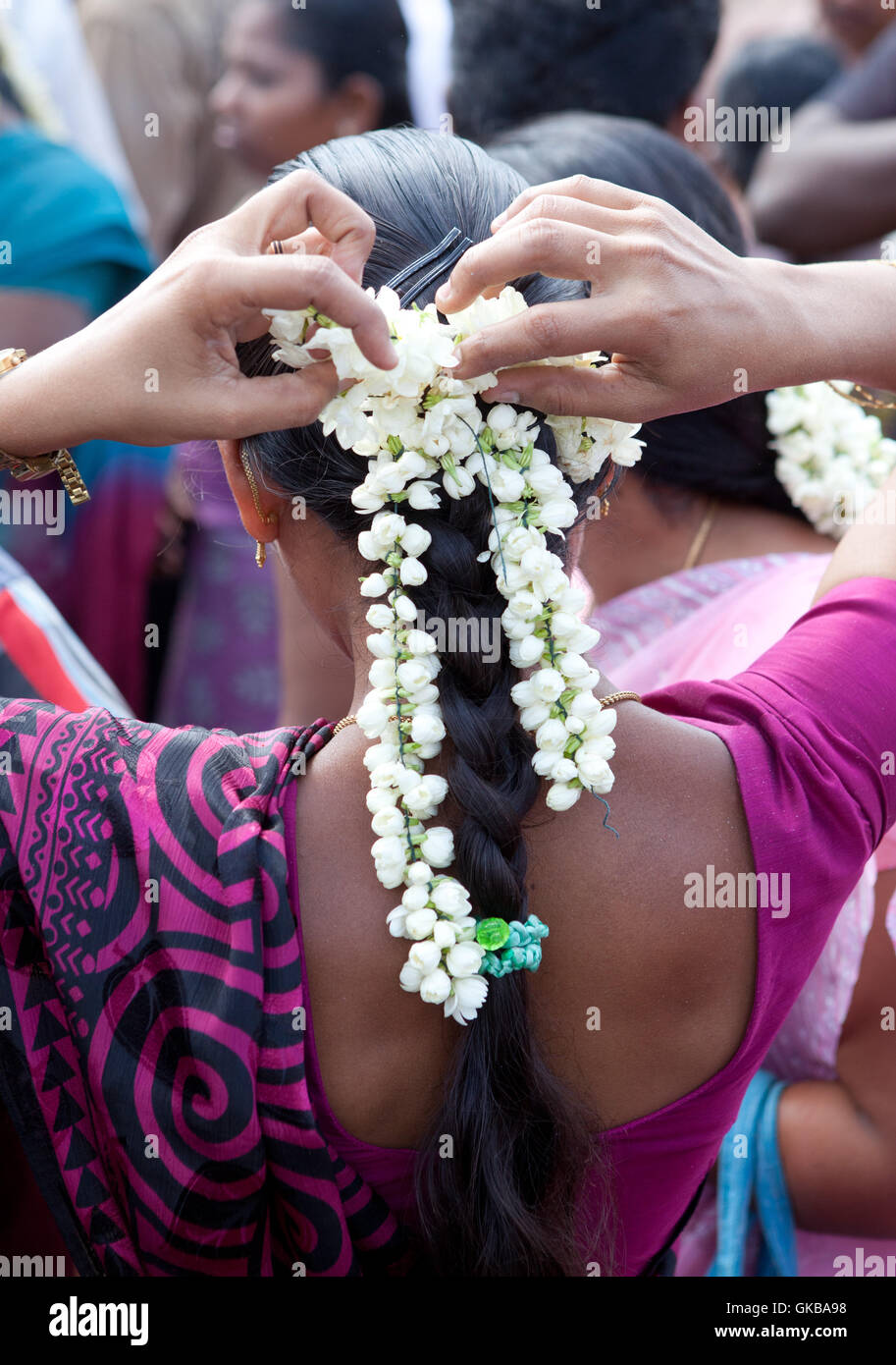 Flowers Of Tamil Nadu High Resolution Stock Photography and Images Alamy