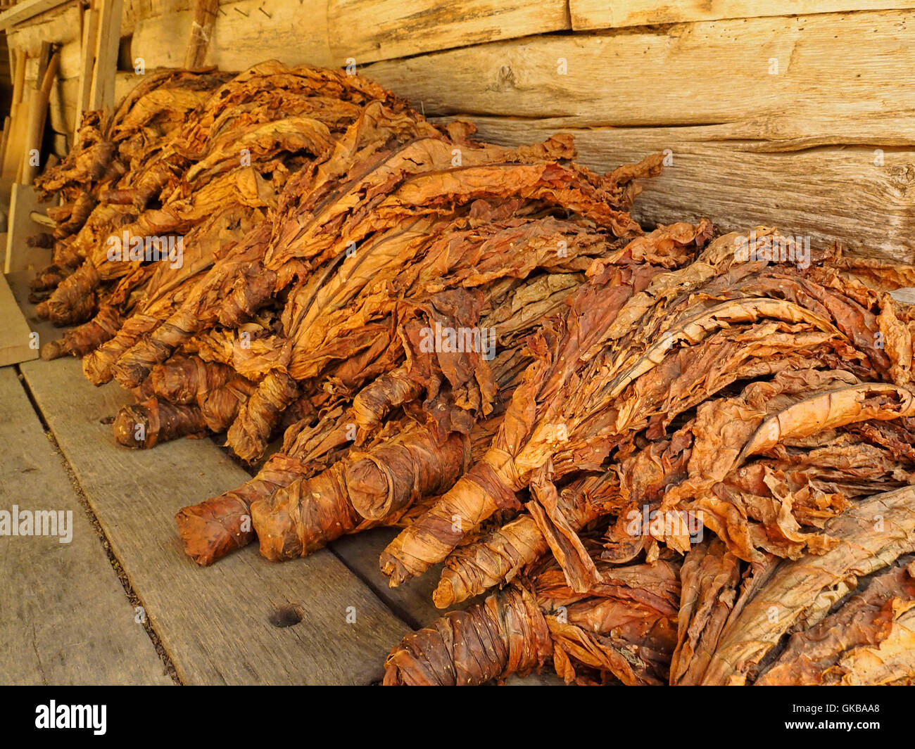 what does tobacco smell like Getting Rid of the Smoke Smell