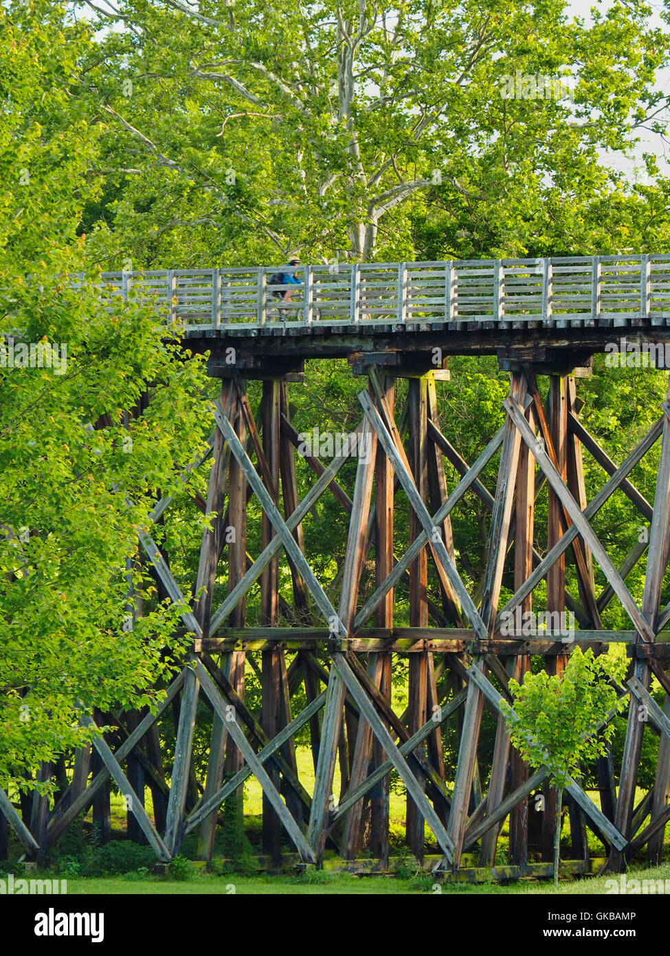 Wautoga Trestle 12, Virginia Creeper Trail, Abingdon, Virginia, USA
