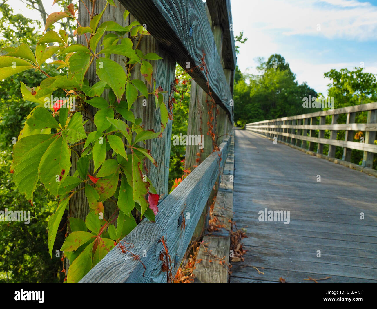 Wautoga Trestle 12, Virginia Creeper Trail, Abingdon, Virginia, USA