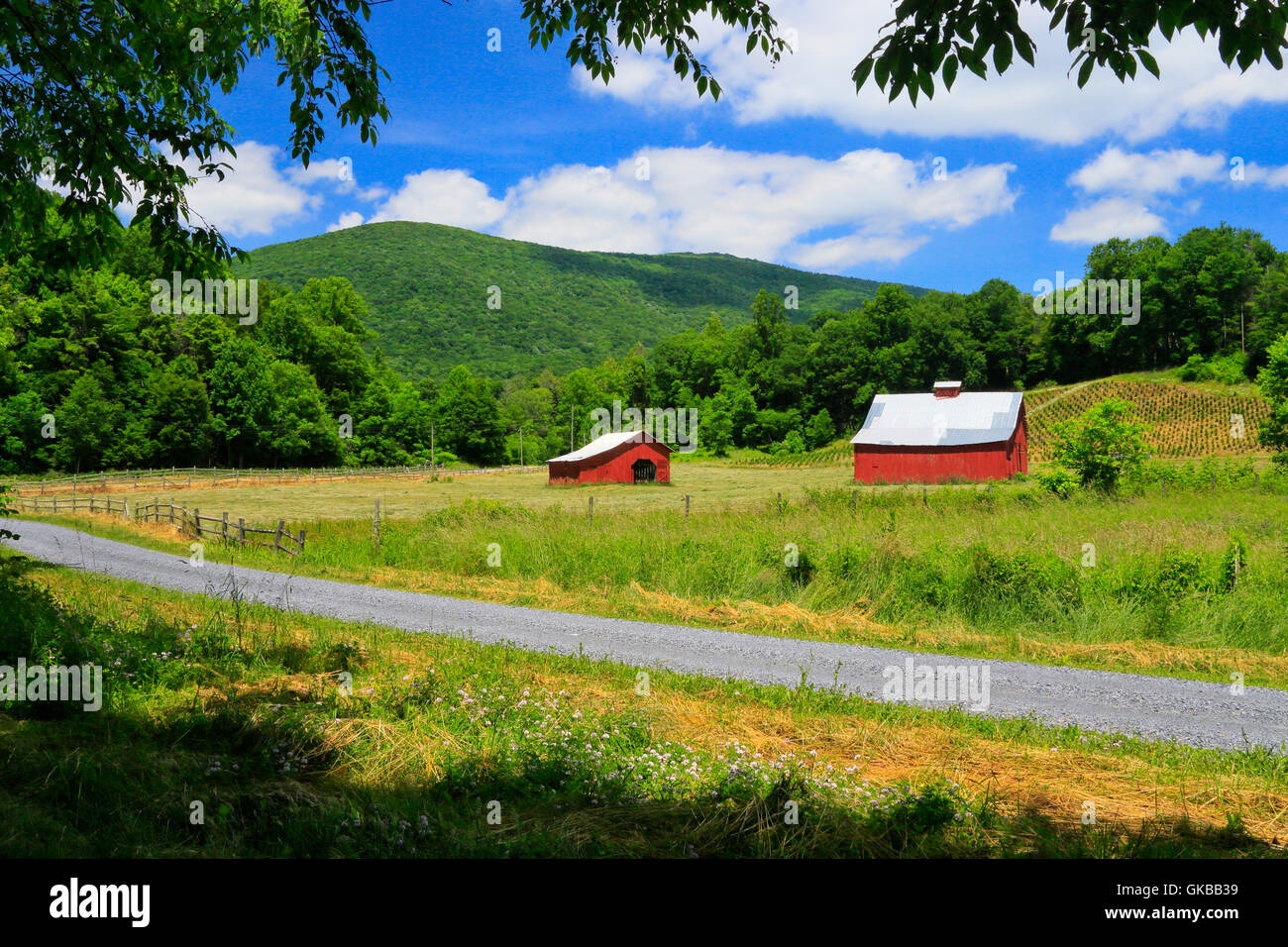 Green Cove, Virginia Creeper Trail, Damascus, Virginia, USA Stock Photo Alamy