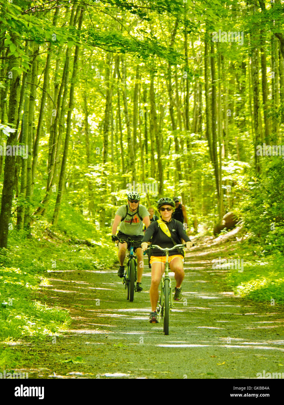 Near Trestle 46 Virginia Creeper Trail Damascus Virginia USA Stock 