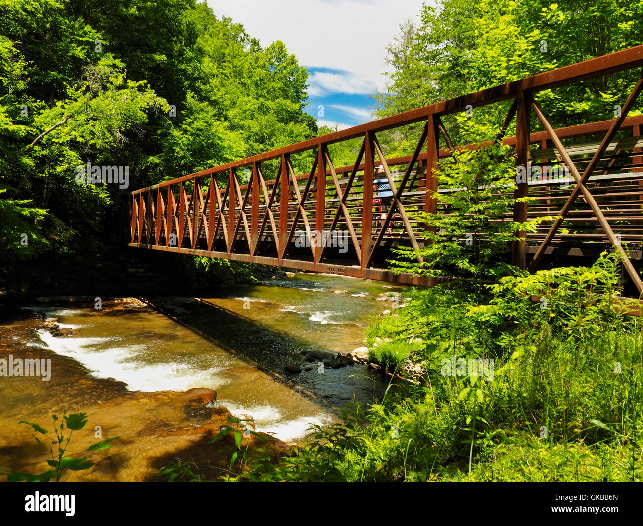 Trestle 21, Whitetop Laurel Creek, Virginia Creeper Trail, Damascus