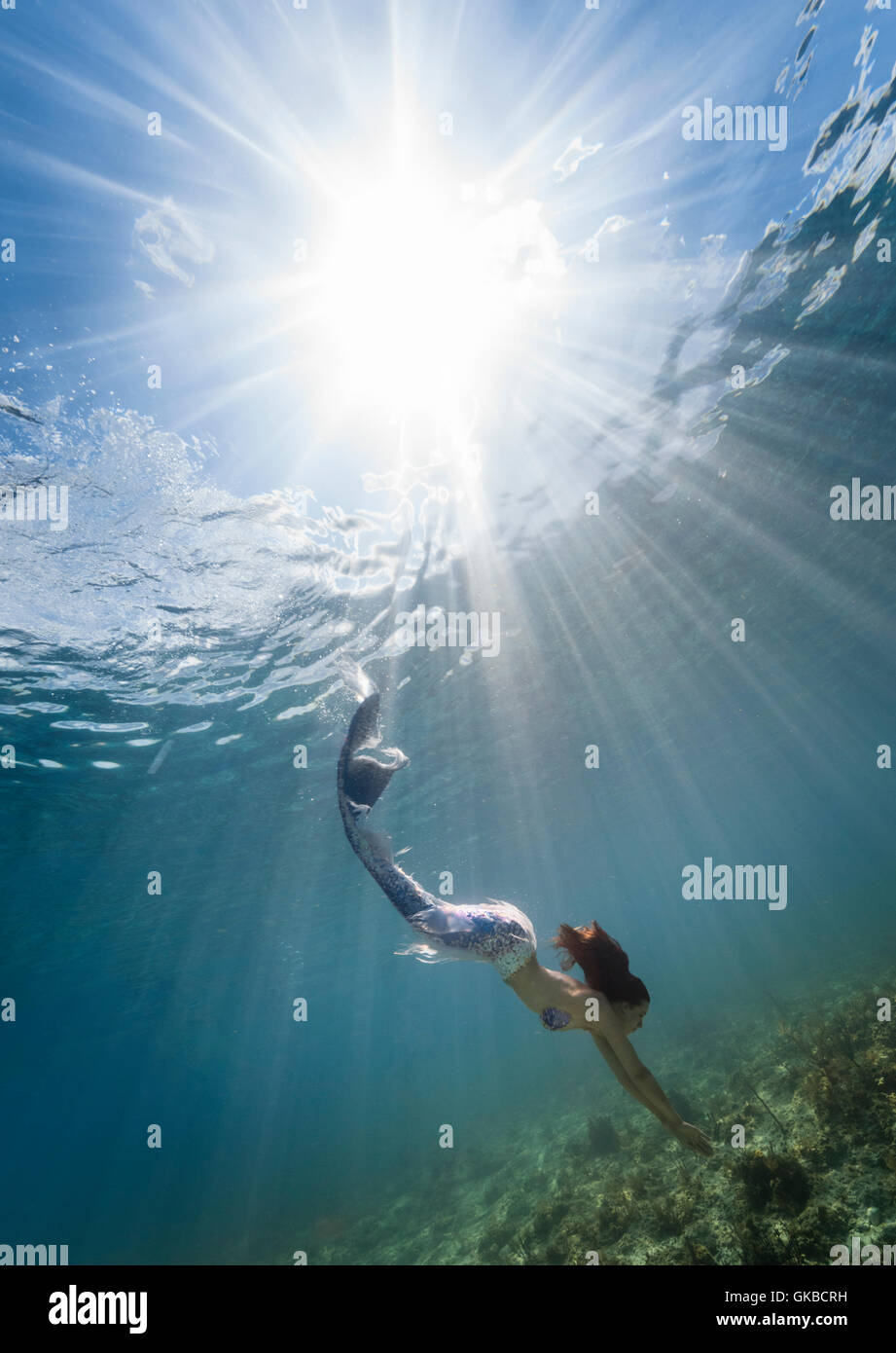 Mermaid swimming in the ocean with a starburst from the sun shining behind her, Shoud Cay, Exuma Cays, Bahamas Islands Stock Photo